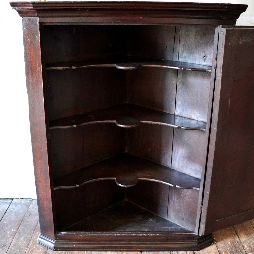 A dark oak George III wall-hanging corner cupboard featuring an arched fielded panel door, moulded cornice, and brass escutcheon. View VIII