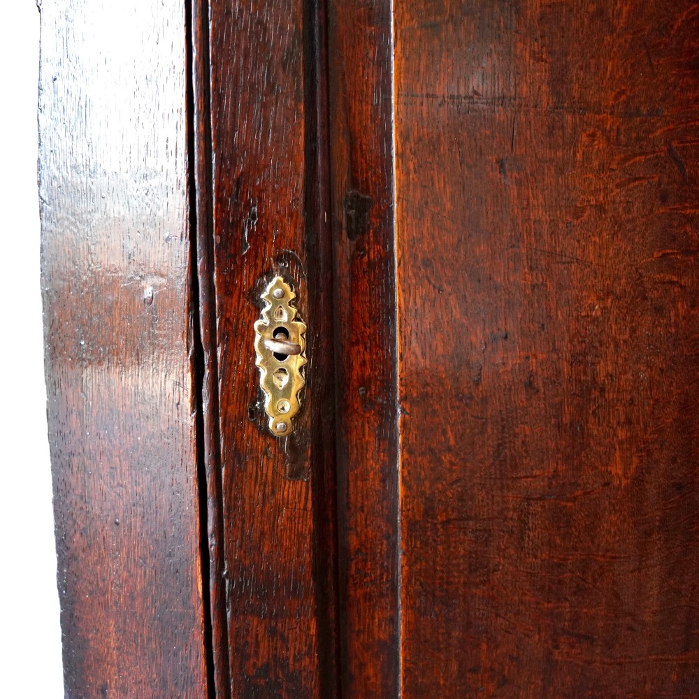 A dark oak George III wall-hanging corner cupboard featuring an arched fielded panel door, moulded cornice, and brass escutcheon. View X
