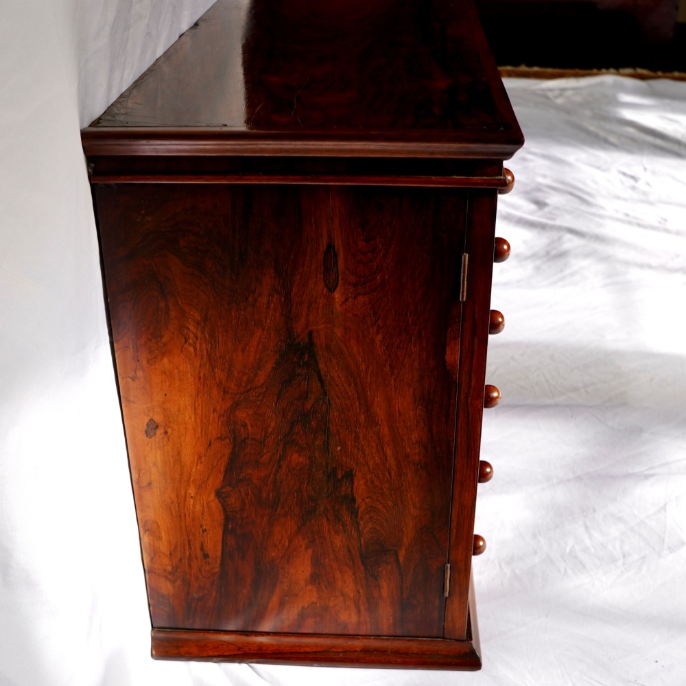 A Regency period dark rosewood tabletop collectors cabinet featuring twin banks of small drawers flanking a central mirrored shelf unit with Gothic arched carving. View VI