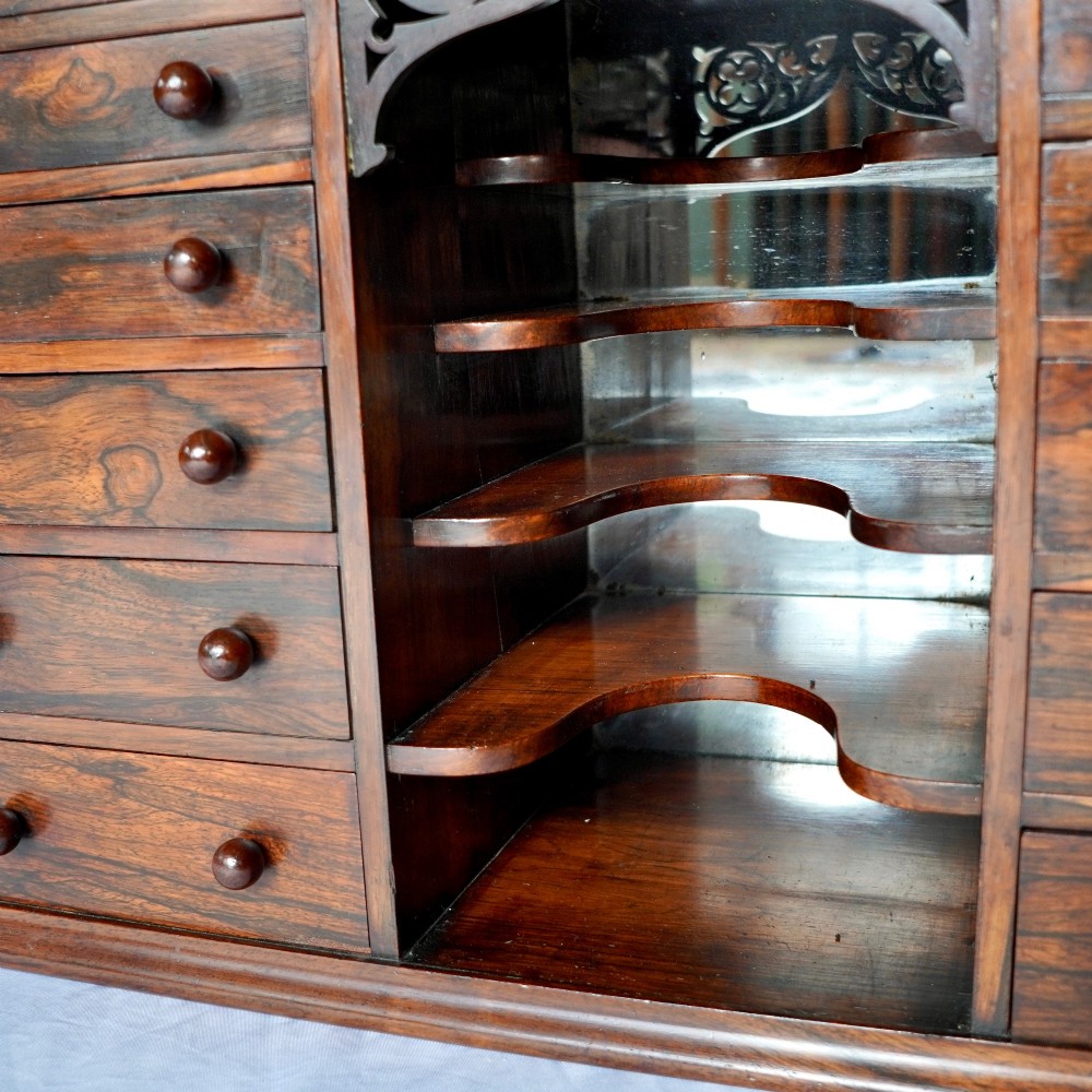 A Regency period dark rosewood tabletop collectors cabinet featuring twin banks of small drawers flanking a central mirrored shelf unit with Gothic arched carving. View XI