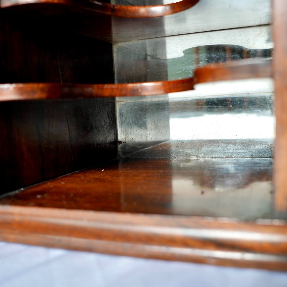 A Regency period dark rosewood tabletop collectors cabinet featuring twin banks of small drawers flanking a central mirrored shelf unit with Gothic arched carving. View XII