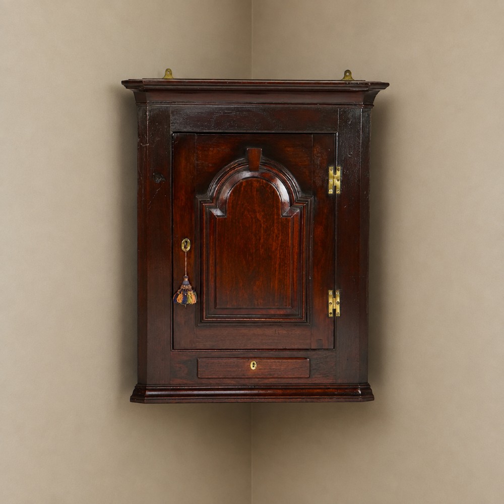 A Georgian mahogany hanging corner cupboard featuring an arched fielded panel door, brass H-hinges, key escutcheon, and a lower drawer.