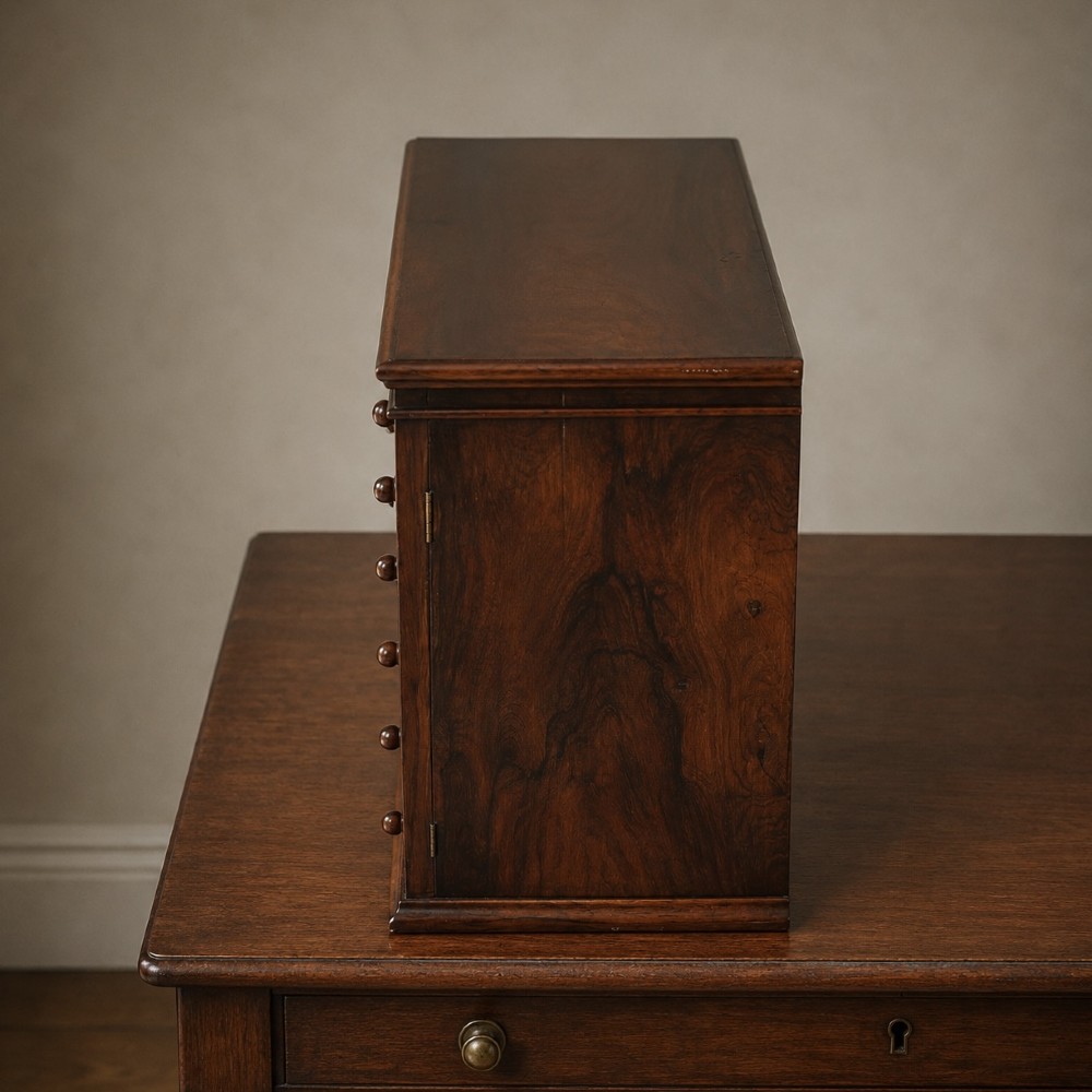 A Regency period dark rosewood tabletop collectors cabinet featuring twin banks of small drawers flanking a central mirrored shelf unit with Gothic arched carving. View XI