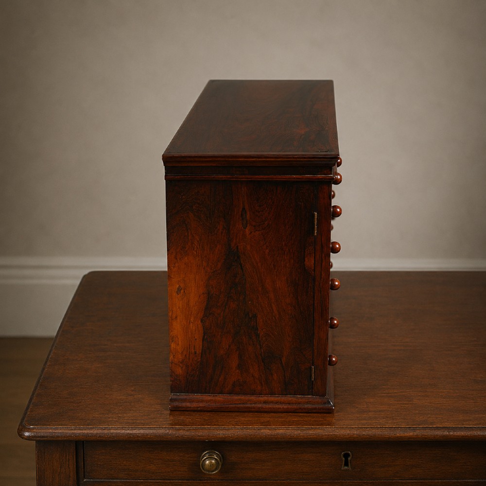 A Regency period dark rosewood tabletop collectors cabinet featuring twin banks of small drawers flanking a central mirrored shelf unit with Gothic arched carving. View XII