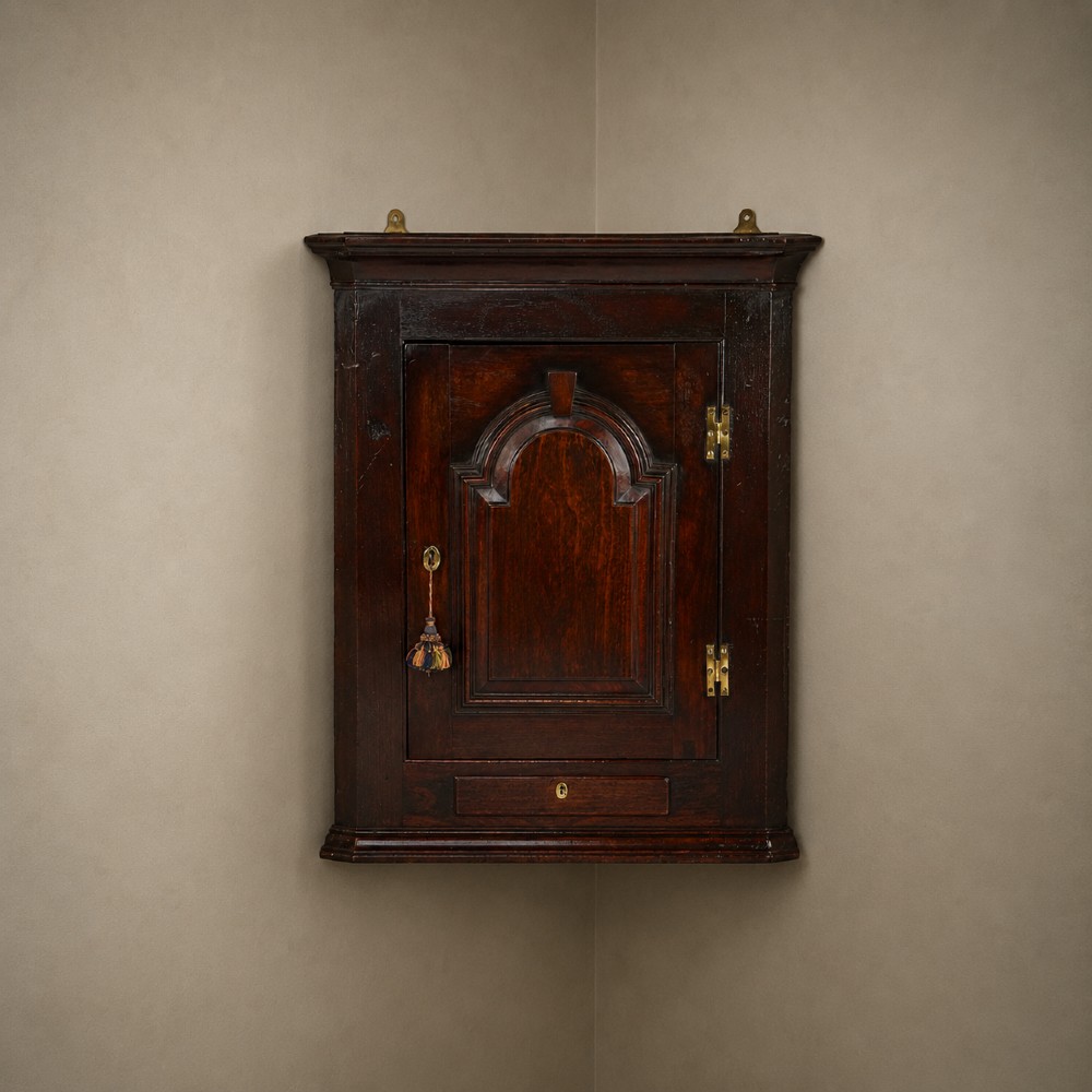 A Georgian mahogany hanging corner cupboard featuring an arched fielded panel door, brass H-hinges, key escutcheon, and a lower drawer.