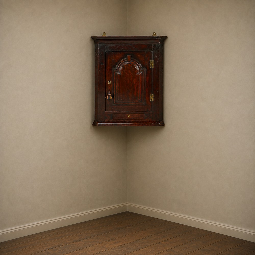A Georgian mahogany hanging corner cupboard featuring an arched fielded panel door, brass H-hinges, key escutcheon, and a lower drawer. View XIV