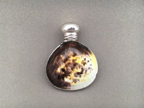 fig 1. A Wonderful Novelty Silver mounted shell scent bottle.