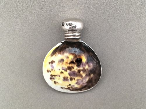 A Wonderful Novelty Silver Mounted Shell Scent Bottle.