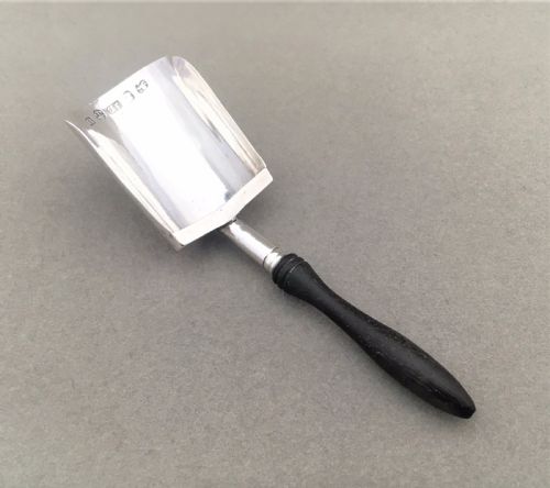 A Gorgeous Georgian Silver Caddy Spoon