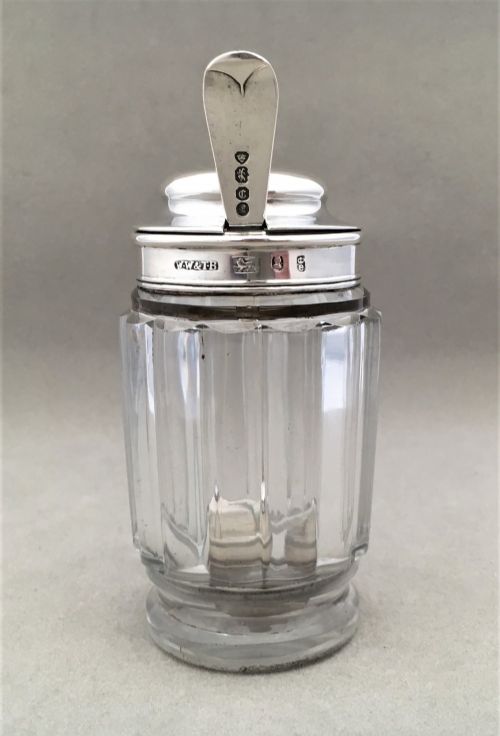 fig 1. A silver mounted George IV dry mustard