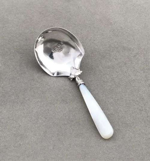 A Delightful Victorian Silver & Mother-of-pearl Caddy Spoon