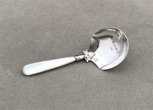 fig 1. A delightful Victorian silver & mother-of-pearl caddy spoon