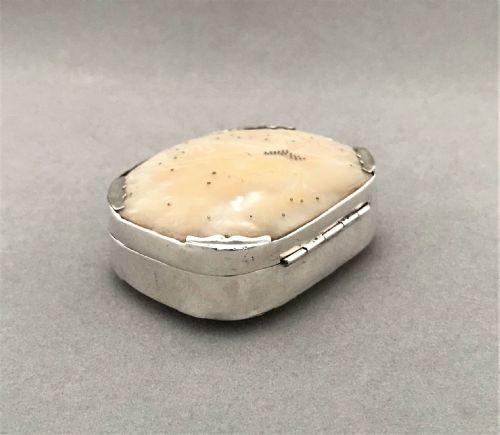fig 1. A fabulous George II silver mounted snuff box