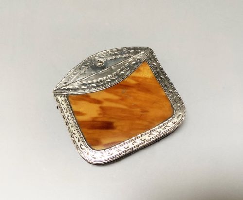 fig 1. An exquisite Georgian silver & tortoiseshell purse