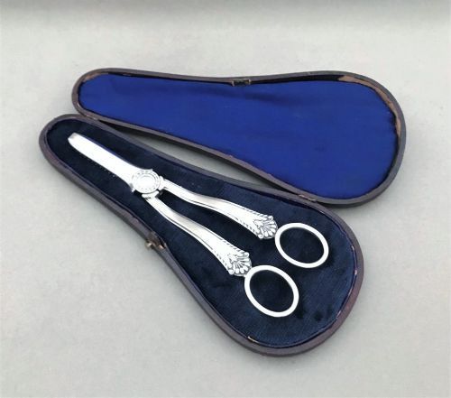A Gorgeous Pair of Boxed Silver Grape Shears