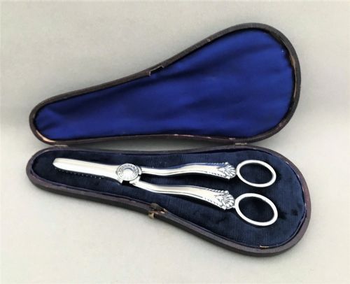 fig 1. A Gorgeous Pair Of Boxed Silver Grape Shears