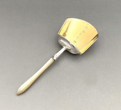 A Gorgeous Georgian Silver & Mother of Pearl Caddy Spoon