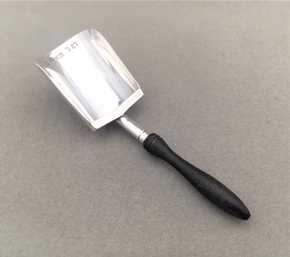 A gorgeous Georgian silver caddy spoon