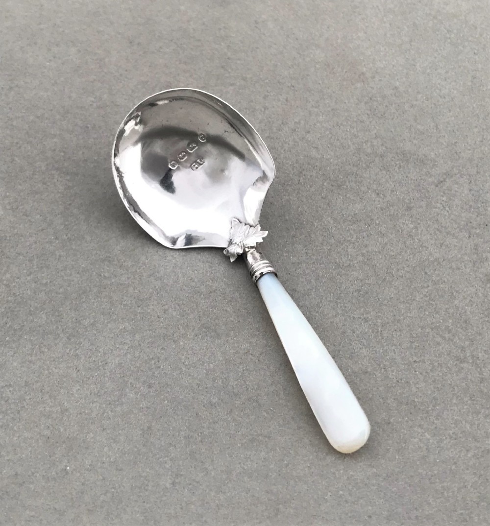 A delightful Victorian silver & mother-of-pearl caddy spoon 