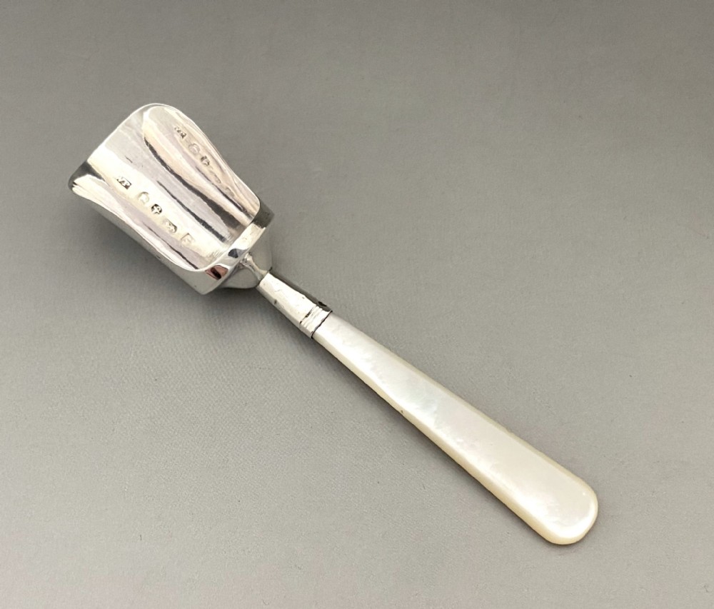 A gorgeous Georgian silver & Mother of Pearl caddy spoon
