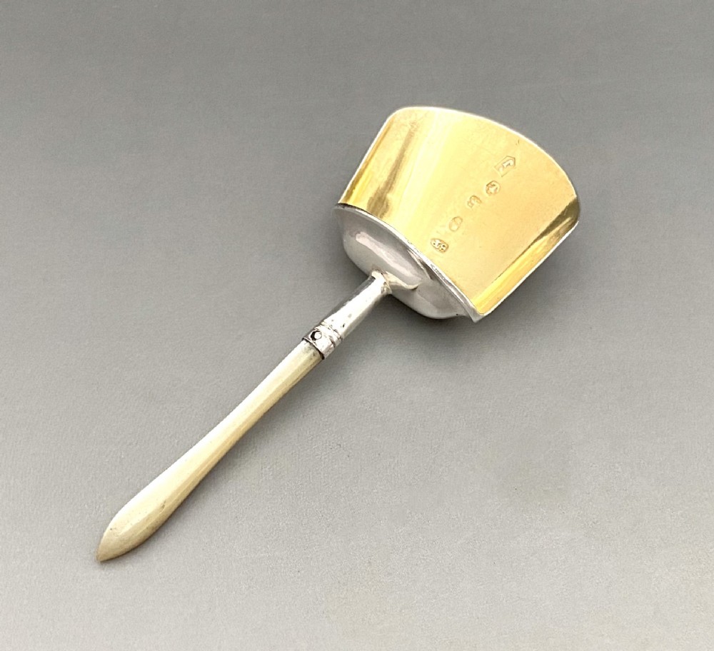 A gorgeous Georgian silver & Mother of Pearl caddy spoon