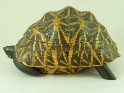 anglo indian star tortoise box inlaid ebony trinket jewellery taxidermy - CATEGORY: ANTIQUE BOXES - DATED 1920
