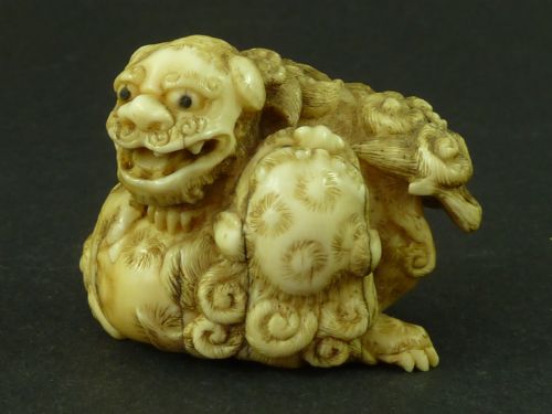 japanese sea ivory netsuke dog of fo shishi lion carved antique - CATEGORY: ANTIQUE SCULPTURES - DATED 19TH CENTURY