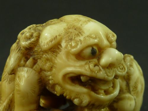 JAPANESE SEA IVORY NETSUKE DOG OF FO SHISHI LION CARVED ANTIQUE - ADDITIONAL PHOTO 6