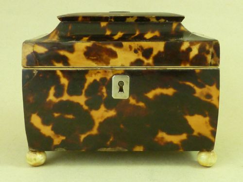 georgian tortoiseshell tea caddy - CATEGORY: ANTIQUE BOXES - DATED 19TH CENTURY