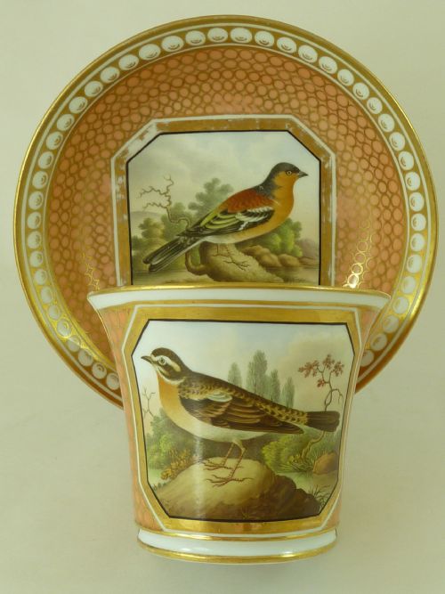 british birds chamberlains worcester porcelain cup saucer hand painted marked antique - CATEGORY: ANTIQUE CERAMICS - DATED 19TH CENTURY