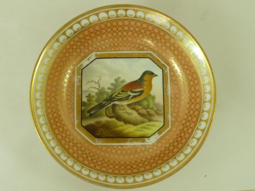 BRITISH BIRDS CHAMBERLAINS WORCESTER PORCELAIN CUP SAUCER HAND PAINTED MARKED ANTIQUE - ADDITIONAL PHOTO 2