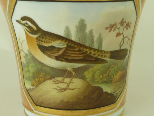 BRITISH BIRDS CHAMBERLAINS WORCESTER PORCELAIN CUP SAUCER HAND PAINTED MARKED ANTIQUE - ADDITIONAL PHOTO 5