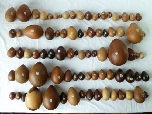 85 different turned specimen wood eggs woods wooden samples catalogued treen - CATEGORY: ANTIQUE MISCELLANEOUS - DATED 1900