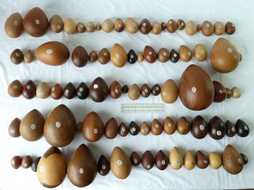 85 DIFFERENT TURNED SPECIMEN WOOD EGGS WOODS WOODEN SAMPLES CATALOGUED TREEN - ADDITIONAL PHOTO 3