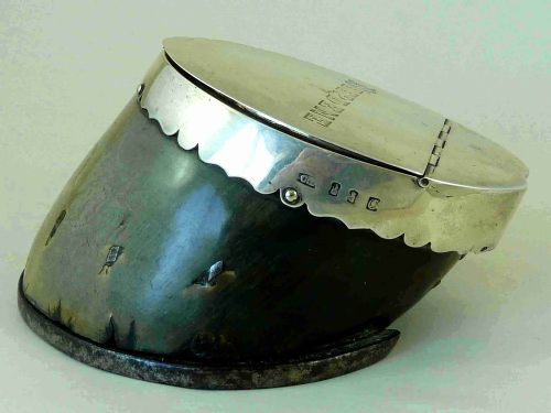 VICTORIAN DUBLIN SILVER HORSE HOOF BOX 1897 DEEPDENE IRISH PEERAGE TAXIDERMY - ADDITIONAL PHOTO 2