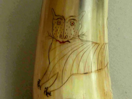 ENGRAVED POWDER HORN NAIVE FOLK ART ARMORIAL MOUNTED - ADDITIONAL PHOTO 2