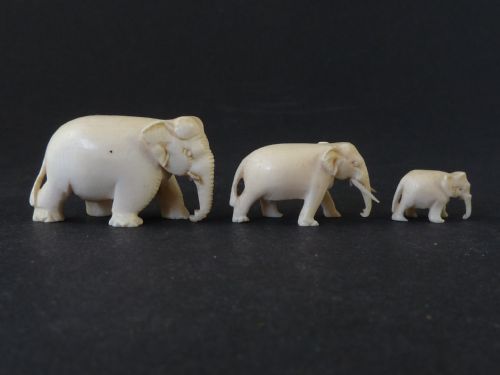 THREE ANGLO INDIAN CARVED IVORY ELEPHANTS MINIATURE VICTORIAN - ADDITIONAL PHOTO 1