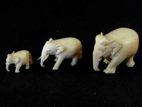 THREE ANGLO INDIAN CARVED IVORY ELEPHANTS MINIATURE VICTORIAN - ADDITIONAL PHOTO 2