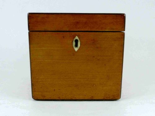 GEORGIAN CONCH SHELL INLAID SATINWOOD TEA CADDY BOX ENGLISH - ADDITIONAL PHOTO 1
