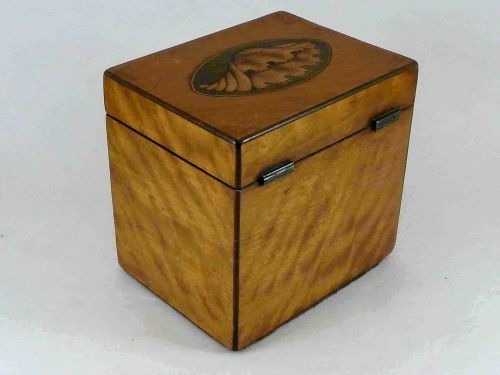 GEORGIAN CONCH SHELL INLAID SATINWOOD TEA CADDY BOX ENGLISH - ADDITIONAL PHOTO 3