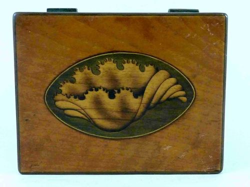 GEORGIAN CONCH SHELL INLAID SATINWOOD TEA CADDY BOX ENGLISH - ADDITIONAL PHOTO 5