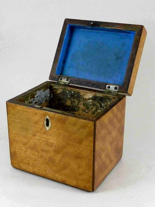 GEORGIAN CONCH SHELL INLAID SATINWOOD TEA CADDY BOX ENGLISH - ADDITIONAL PHOTO 6