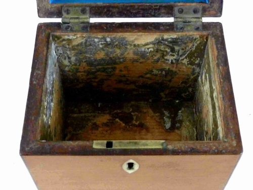 GEORGIAN CONCH SHELL INLAID SATINWOOD TEA CADDY BOX ENGLISH - ADDITIONAL PHOTO 7