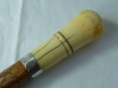 1698 TURNED IVORY MALACCA WALKING STICK ENGLISH CANE SILVER DATED PETER PILOTE - ADDITIONAL PHOTO 2