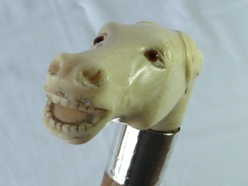 CARVED IVORY HORSE HEAD MALACCA WALKING STICK NOVELTY CANE - ADDITIONAL PHOTO 4