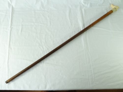 CARVED IVORY DOG HEAD MALACCA WALKING STICK NOVELTY HOUND CANE VICTORIAN - ADDITIONAL PHOTO 5