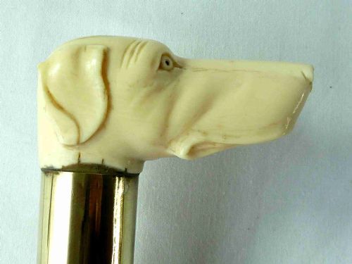 carved ivory dog head malacca walking stick novelty hound cane victorian - CATEGORY: ANTIQUE MISCELLANEOUS - DATED 1890