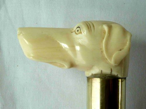 CARVED IVORY DOG HEAD MALACCA WALKING STICK NOVELTY HOUND CANE VICTORIAN - ADDITIONAL PHOTO 1