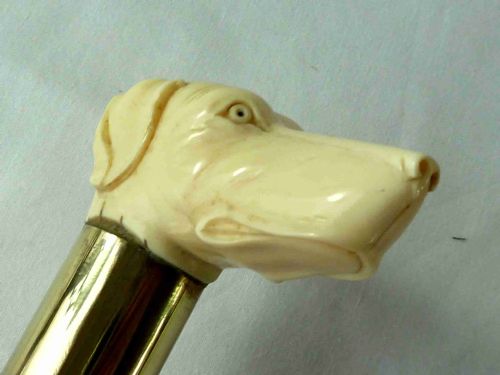 CARVED IVORY DOG HEAD MALACCA WALKING STICK NOVELTY HOUND CANE VICTORIAN - ADDITIONAL PHOTO 2