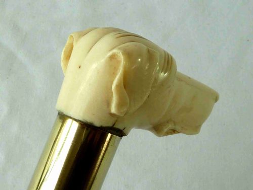 CARVED IVORY DOG HEAD MALACCA WALKING STICK NOVELTY HOUND CANE VICTORIAN - ADDITIONAL PHOTO 3